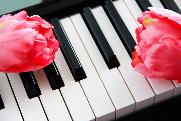 touches de piano blanches et noires et fleurs roses - Photo, image
