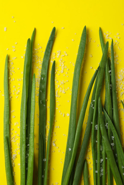 Fresh green onion and salt on yellow background - Foto, afbeelding