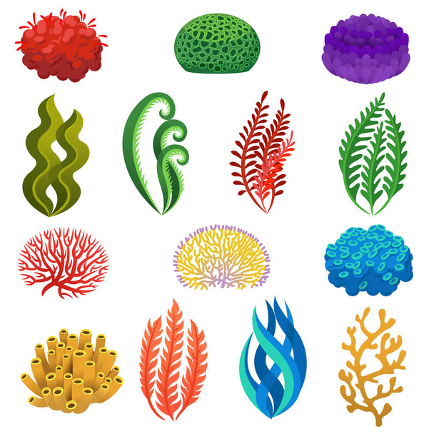 Algen und Korallen. Zeichentrick-Unterwasserriffe Pflanzen und Tiere. Aquarium, Meeres- und Meeresflora, marine florale Elemente Vektorset - Vektor, Bild