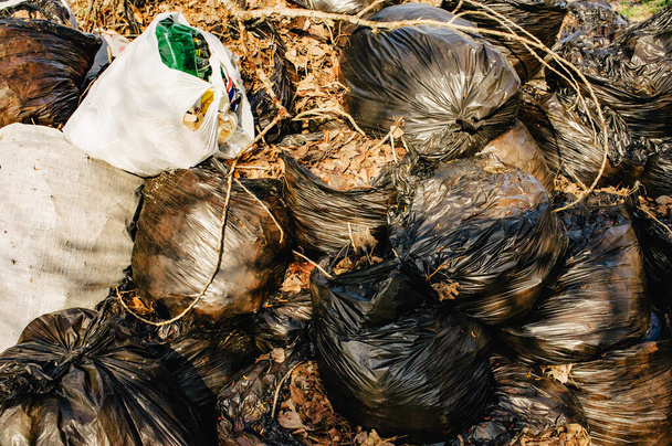 Группа пластиковых пакетов, заполненных органическими отходами из сада и двора. Мусорные мешки с листьями - Фото, изображение
