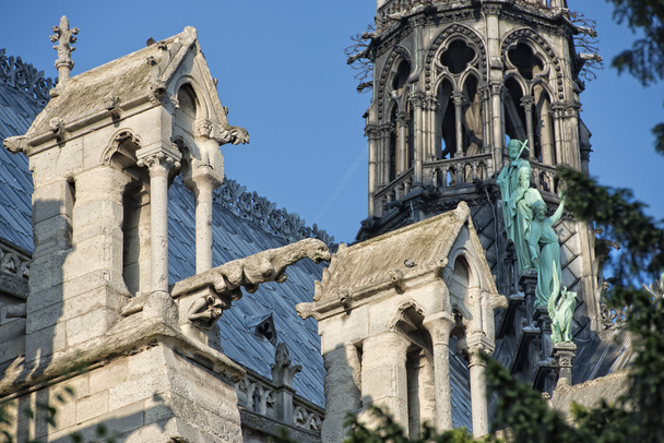 ノートルダム大聖堂パリの彫像とガーゴイル  - 写真・画像
