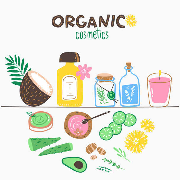 Organic cosmetics doodle illustration, elements, ingredients and decorations in the shelf. Vector illustration in naive cute style - Vektori, kuva