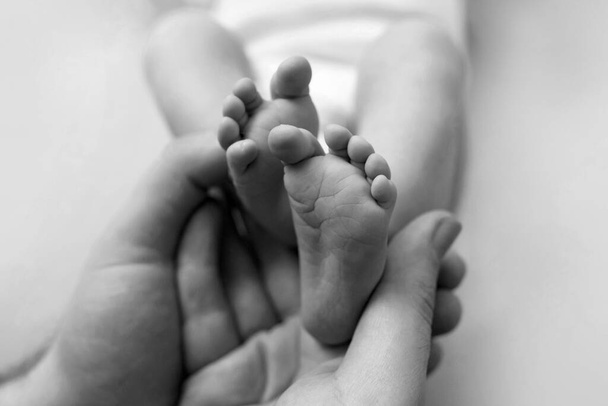 Piedi di un neonato nelle mani di un padre, genitore. Fotografia in bianco e nero. Concetto famiglia felice. - Foto, immagini