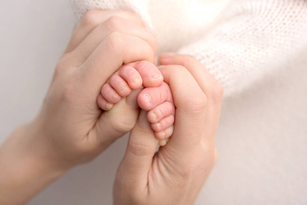 Füße des Neugeborenen in den Händen der Mutter, des Elternteils. Studiofotografie, weißer Hintergrund. Glückliches Familienkonzept. - Foto, Bild