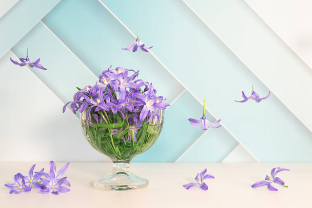 Schwebeeffekt, Vase mit blauen Schneeglöckchen auf hellem Hintergrund und fallenden Blumen - Foto, Bild