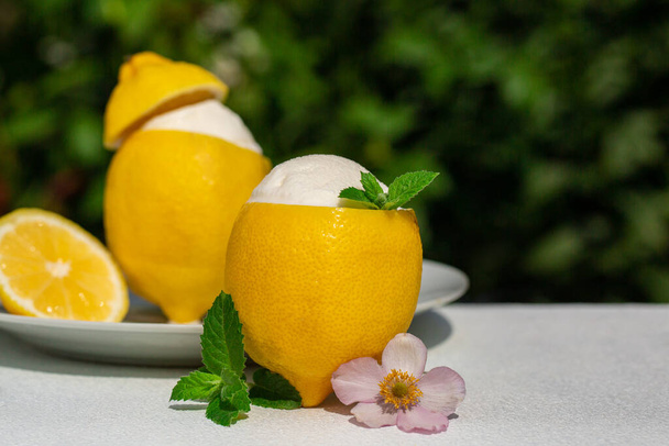 Homemade Icy lemon sorbet. - Photo, Image