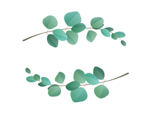Eucalyptus leaf vector - Vector, Image