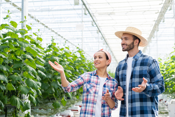 african american woman pointing at plants in glasshouse near smiling farmer - Foto, Imagen