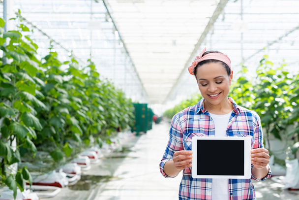 smiling african american farmer showing digital tablet with blank screen in glasshouse - Foto, imagen
