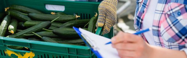 kivágott kilátás nő írás vágólapra mellett farmer doboz friss uborka, banner - Fotó, kép