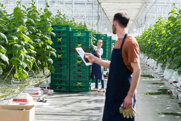 farmer holding digital tablet near african american colleague working near plastic boxes, blurred foreground - 写真・画像