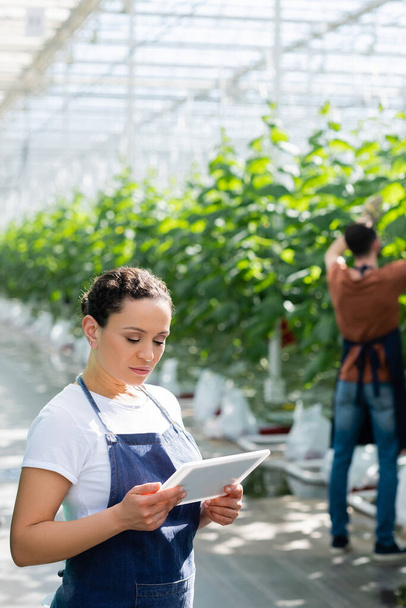 Африканский американский фермер держит цифровой планшет рядом с коллегой, работающим на размытом фоне - Фото, изображение
