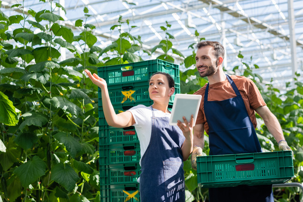 farmer holding plastic box near african american colleague pointing with hand in greenhouse - Photo, Image