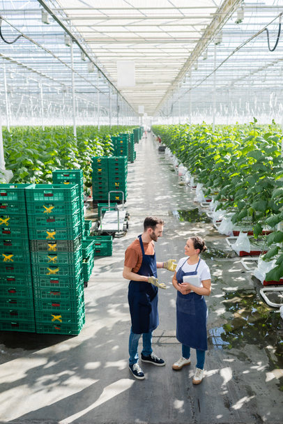 farmer gesturing while talking to african american colleague near boxes in greenhouse - Φωτογραφία, εικόνα
