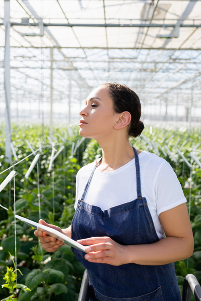 african american farmer holding digital tablet while looking away in glasshouse - Foto, immagini
