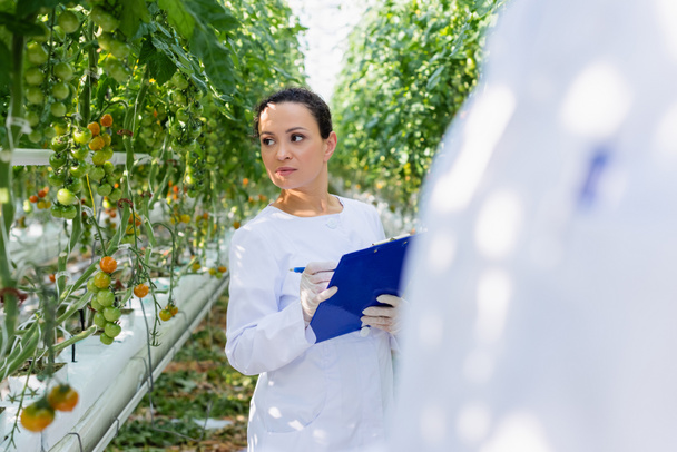 african american quality inspector writing on clipboard near tomato plants, blurred foreground - Photo, Image