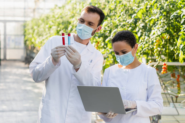 wielonarodowych techników rolniczych w maskach medycznych pracujących z probówkami i laptopem w szklarni - Zdjęcie, obraz