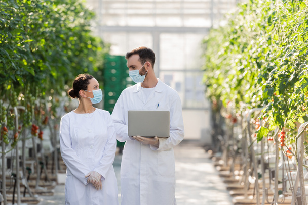 quality inspector in medical mask holding laptop near african american colleague in greenhouse - Photo, Image