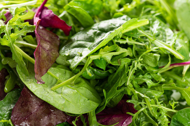 mix di insalata di erbe fresche, rucola, bietola, spinaci in un piatto su sfondo bianco, primo piano - Foto, immagini