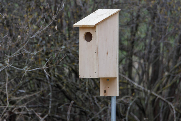 Coffret de nidification pour canard branchu (Aix sponsa) installé dans les bois près de l'eau. Mise au point sélective, flou de fond et flou de premier plan   - Photo, image