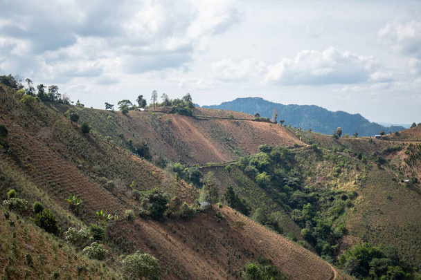 На мальовничому схилі пагорба, де ростуть культури, що ростуть під хмарами, від Калава до озера Інле (М "янма). - Фото, зображення
