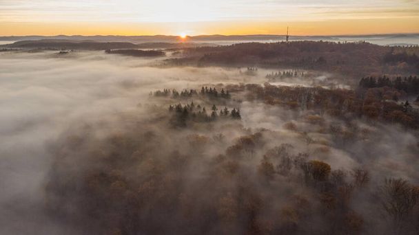 An aerial view of  a golden sunset in woodland with high evergreen trees covered in fog - Photo, image