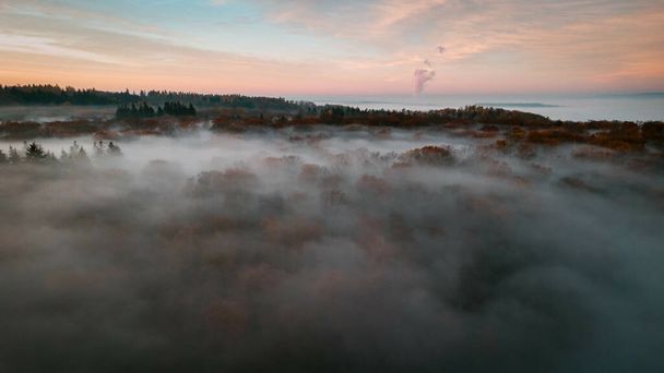 An aerial view of a rosy sunset in woodland covered in fog - Fotografie, Obrázek