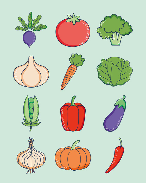 healthy vegetables set - Vector, Image