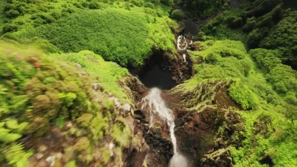 Wodospad Poco Ribeira do Ferreiro, Alagoinha, Wyspa Flores, Azory, Portugalia - Materiał filmowy, wideo