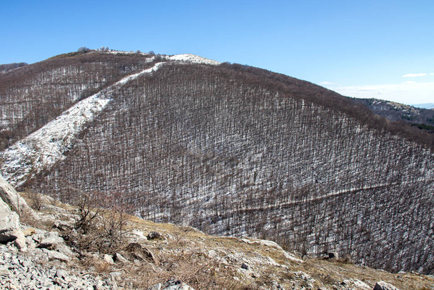 Зимний вид с воздуха горы Коньявска, Кюстендил, Болгария - Фото, изображение