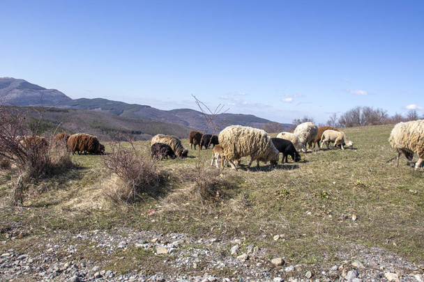 Luftaufnahme des Konyavska-Gebirges, Kyustendil-Region, Bulgarien - Foto, Bild