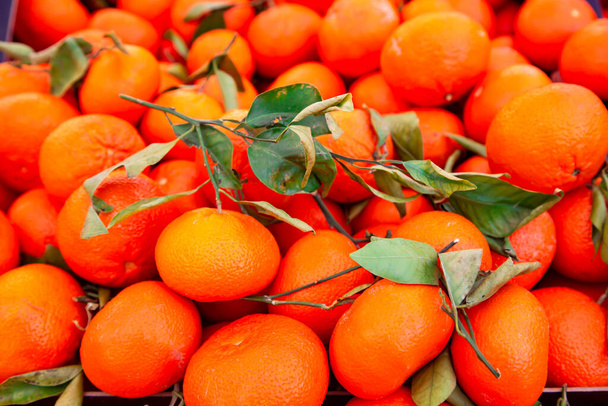 Fresh ripe group mandarins fruit on street market.Close up on a farmers market fresh tangerines. - Photo, Image