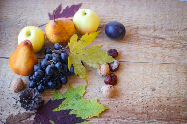 Dojrzałe jesienne owoce wspólnie tworzą martwą naturę. Ciemne winogrona, śliwki, gruszki i jabłka. - Zdjęcie, obraz