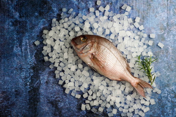 fresh raw pagro or porgy, pargo rosado on the blue background and ice, lemon, spices, top view, healthy fish - 写真・画像
