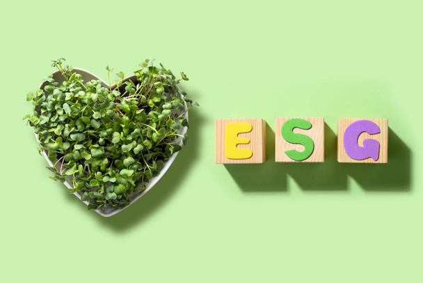 ESG - Environmental. Social. Governance. Company audit for environmental friendliness of business. - Foto, imagen