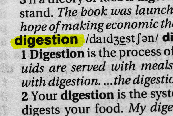 Palabra destacada concepto de digestión y significado - Foto, Imagen