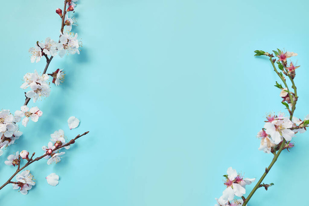 Spring background table. May flowers and April floral nature on blue. For banner, branches of blossoming cherry against background. Dreamy romantic image, landscape panorama, copy space. - Photo, Image