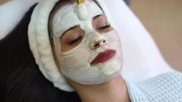Spa schoonheidsbehandeling, huidverzorging. Een vrouw die gezichtsverzorging krijgt van een schoonheidsspecialiste. Jonge cosmetoloog aanbrengen gezichtsmasker door borstel in spa - Video