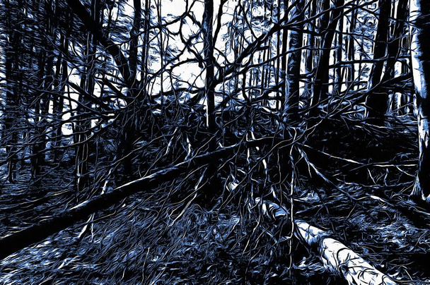 bosque congelado en invierno con efecto de pintura al óleo - Foto, Imagen