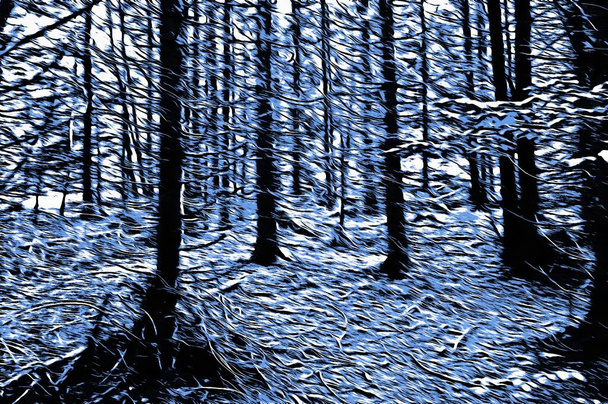 jäädytetty metsä talvella öljy maali vaikutus - Valokuva, kuva