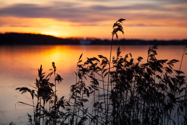 View on a  beautiful lake in denmark scandinavia north of copenhagen - Foto, Imagem