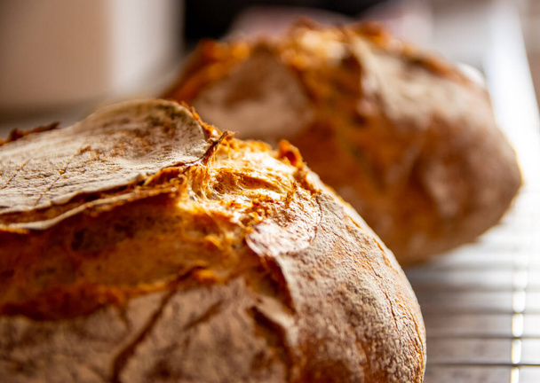 pane fatto in casa grano segale lievito naturale forno - Foto, immagini