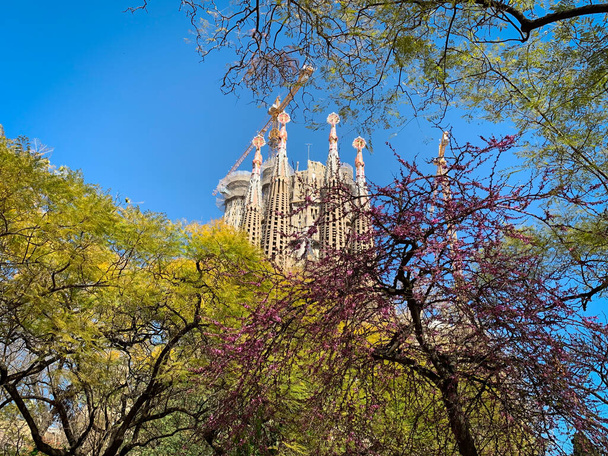 Barcellona, Spagna, 11 marzo 2020 Cattedrale della Sagrada Familia di Antoni Gaudi. Vista a distanza tra gli alberi. - Foto, immagini