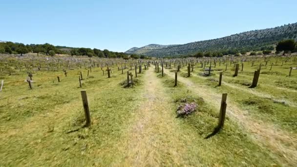  Sad hill cementery, a location of one of the scenes from the movie The Good, the Ugly and the Bad. Burgos province, Spain. - Footage, Video