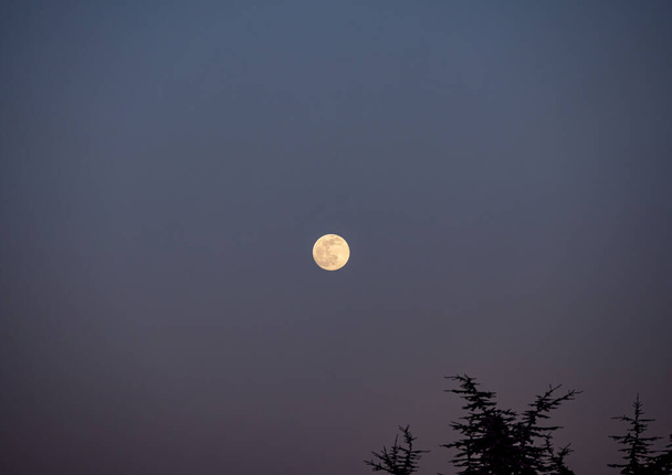 naturel grande pleine lune au ciel clair - Photo, image