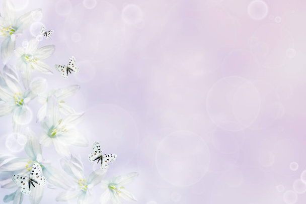 Fondo floral natural de flores de la gota de nieve y mariposas con bokeh Delicada deliciosa romántica imagen tonificada artística. Macro con enfoque suave. - Foto, Imagen
