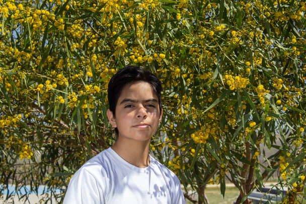 Mexican teenager with thoughtful look posing in front of colorful tree - Fotografie, Obrázek