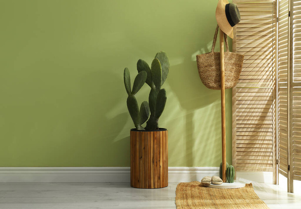Hallway interior with cactus in pot and wooden furniture - Foto, afbeelding