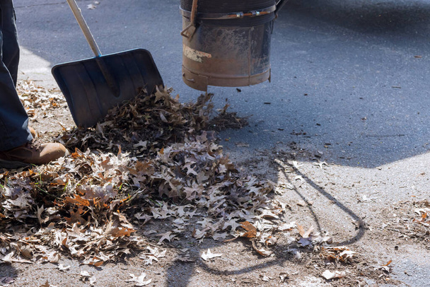 Man met behulp van een stofzuiger werkt in een herfst weg, off bladeren vallen van bomen - Foto, afbeelding