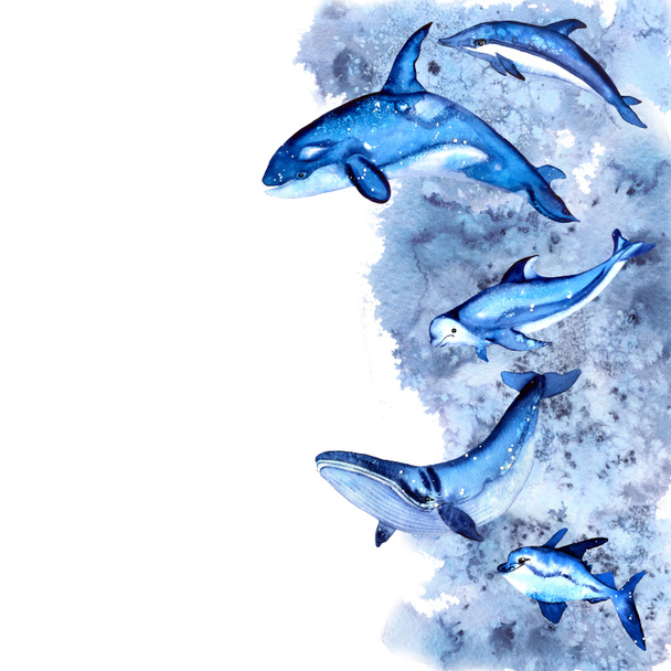 Kader met marien leven. Aquarel. Handgetekende walvis, haai, dolfijn, orka, vis, beluga. Oceaanleven. Diepzeedieren. voor stickers ontwerp dagboeken gliders - Foto, afbeelding